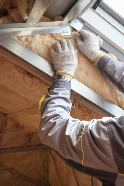 Reliable Nokesville, VA Insulation Installation & Removal Solutions