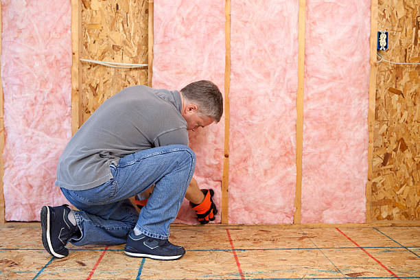 Best Basement Insulation  in Nokesville, VA