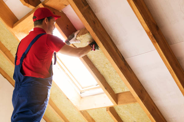 Best Eco-Friendly or Green Insulation Solutions  in Nokesville, VA